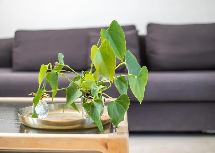 Villa Kora Kallithéa